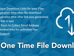 WP One Time File Download - WordPress Plugin
