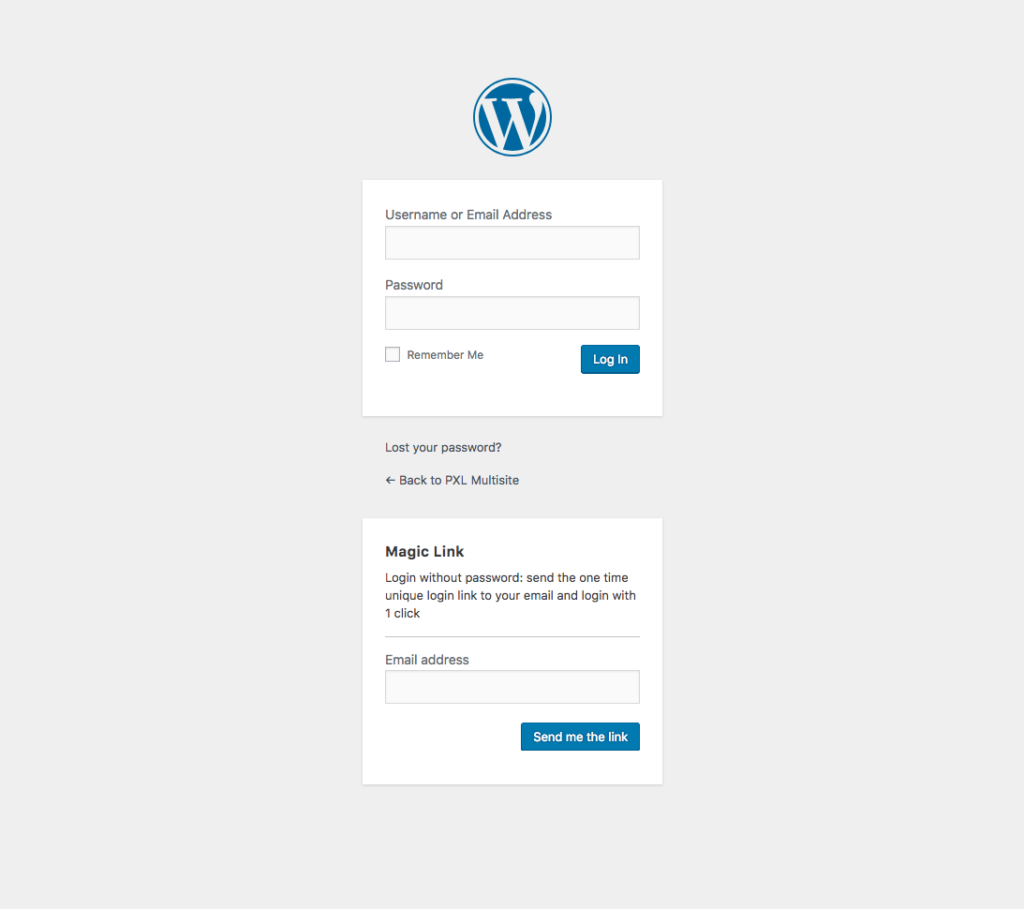 Magic Link Form displayed below the regular WordPress Form